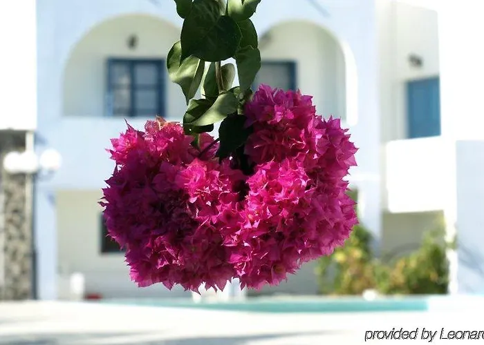 Kalma 3* 메사리아