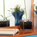 Отель Kalma